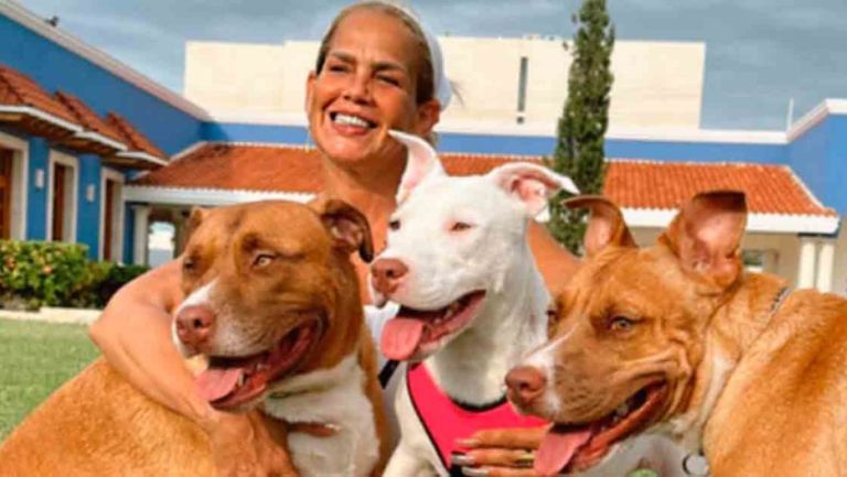 NIURKA PRESUNTAMENTE SACRIFICA CANINOS EN RITUALES DE SANTERIA