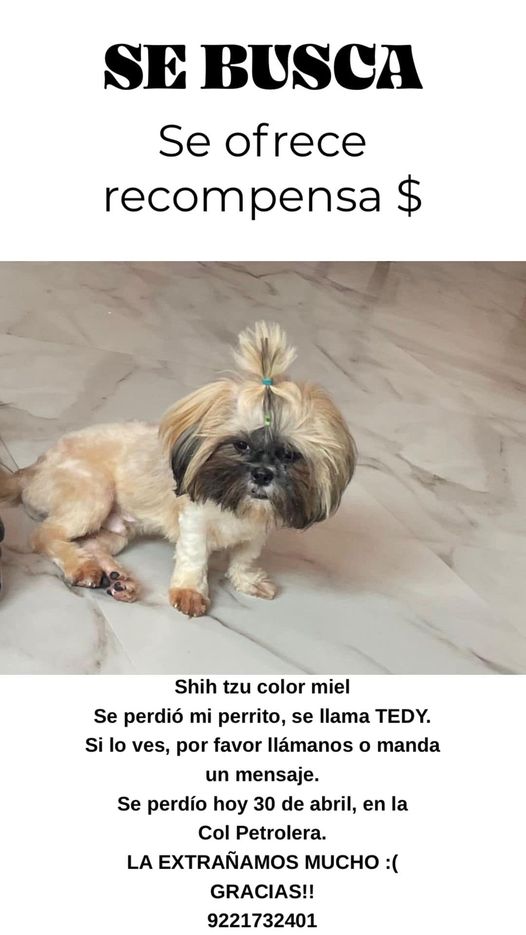 SE BUSCA