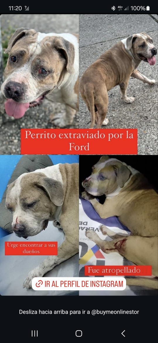 SE BUSCA A ZEUS