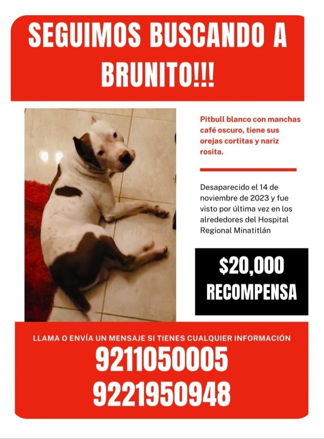 SE BUSCA A BRUNO
